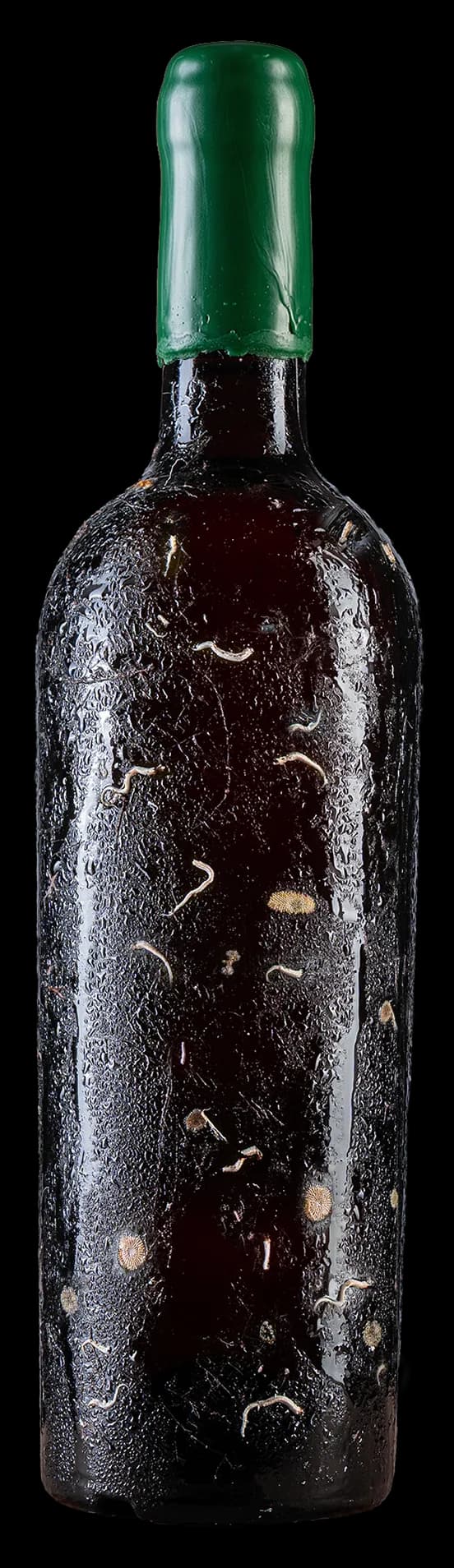 Còri